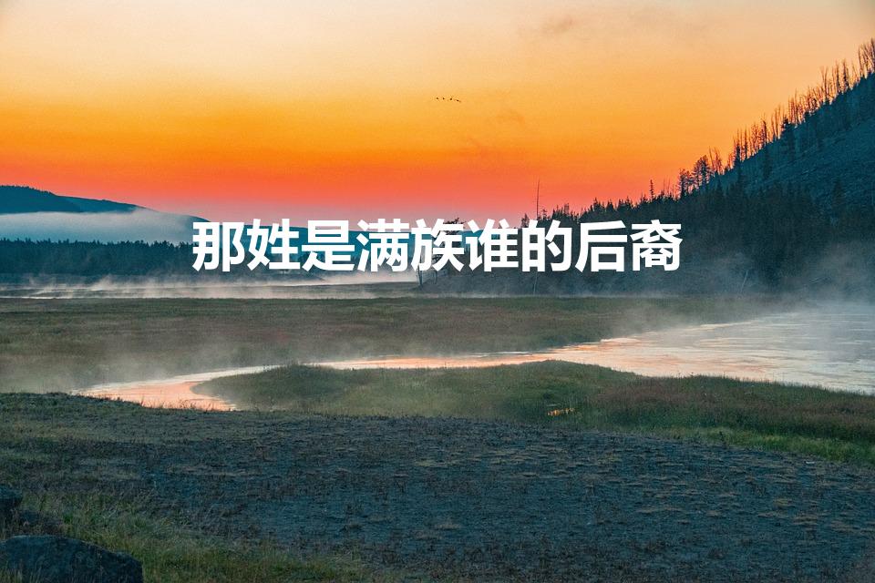 那姓是满族谁的后裔（那姓属满族什么旗）