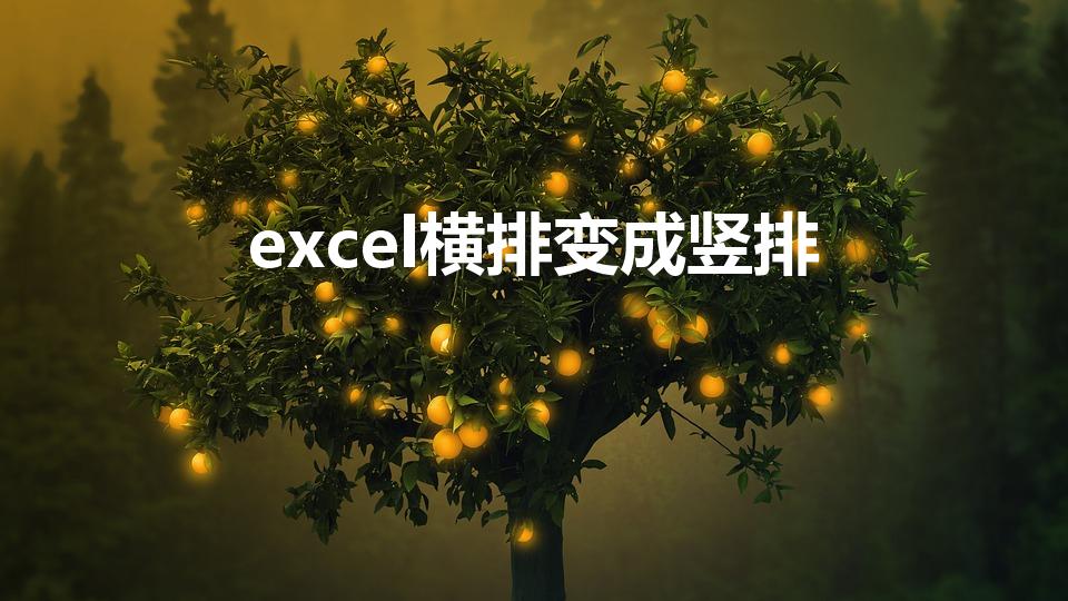 excel横排变成竖排（excel横排变竖排怎么做）