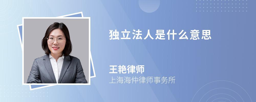 是否独立法人是什么意思（独立法人是什么）