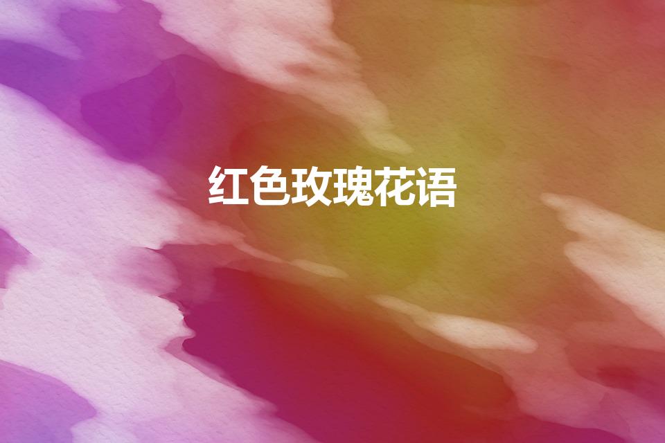 红色玫瑰花语（红玫瑰花语是什么意思）