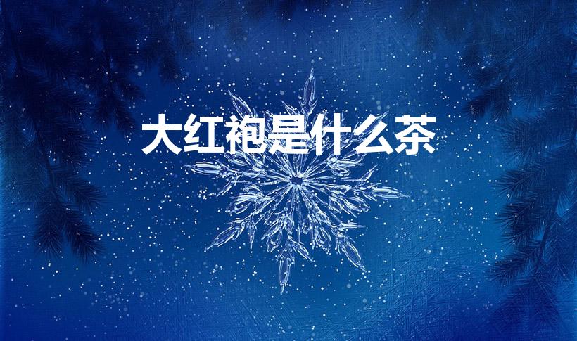 大红袍是什么茶（大红袍属于什么茶 大红袍是什么茶）