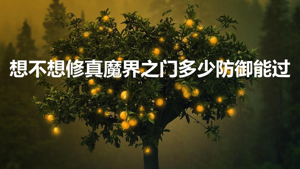 想不想修真魔界之门多少防御能过