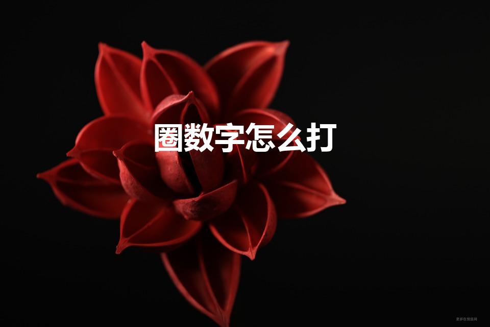 圈数字怎么打（在键盘上如何输入带圈圈的数字）
