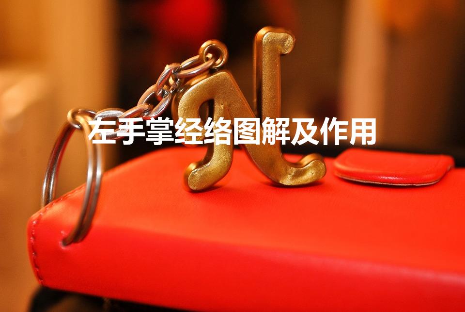 左手掌经络图解及作用（手掌上的经络）