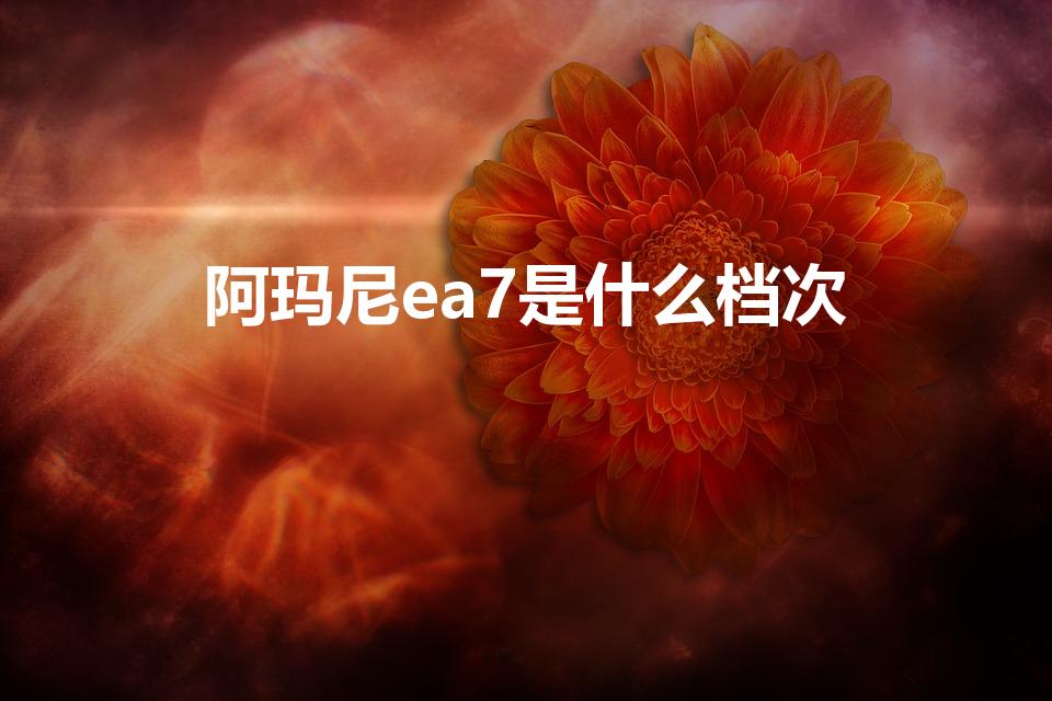阿玛尼ea7是什么档次（EA7是什么牌子）
