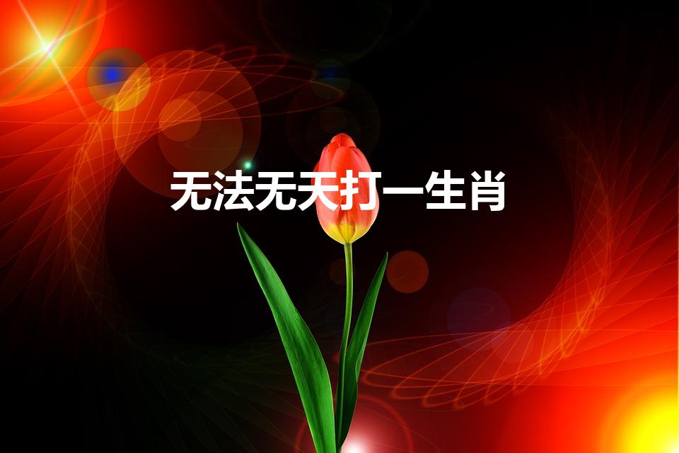 无法无天打一生肖（无法无天指什么生肖）