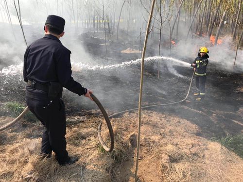 火灾扑灭后起火单位应该怎么做？应该采取哪些措施以防火灾