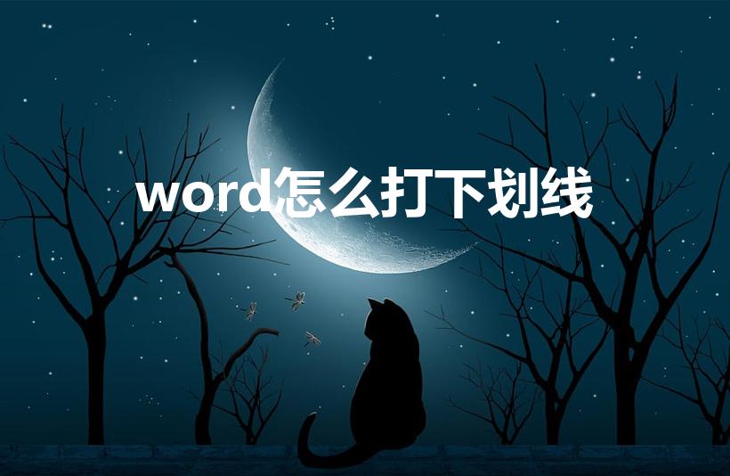 word怎么打下划线（word中下划线是怎么打的）