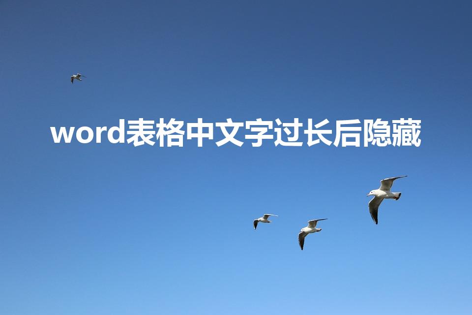 word表格中文字过长后隐藏（word中文字过长后隐藏）