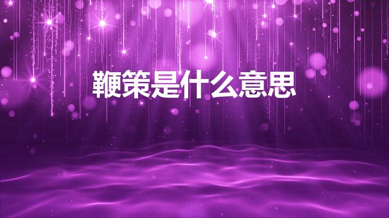 鞭策是什么意思（“鞭策”是什么意思）