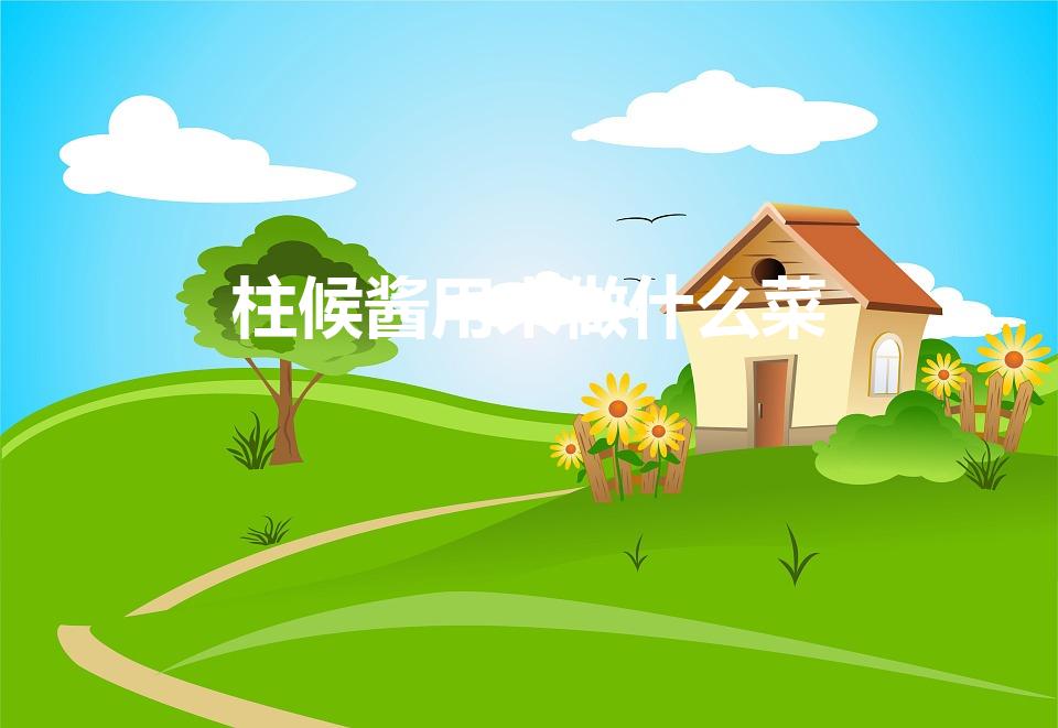 柱候酱用来做什么菜（柱侯酱一般炒什么菜用你知道吗）