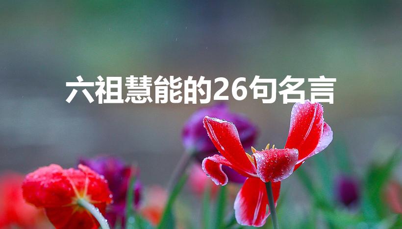 六祖慧能的26句名言（六祖慧能的经典名言）
