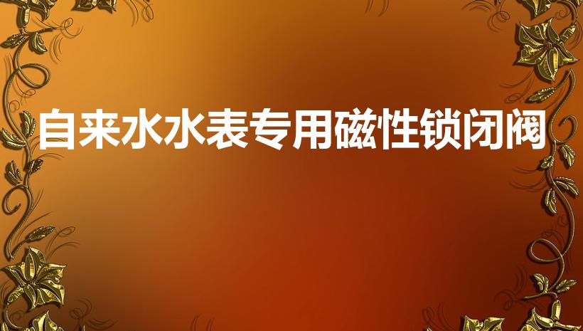 自来水水表专用磁性锁闭阀（自来水前面的磁性阀门如何关闭）