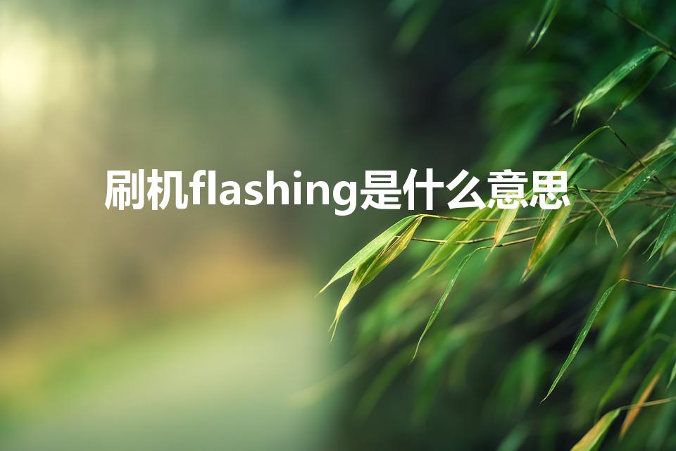 刷机flashing是什么意思（关于刷机的详细信息详解）