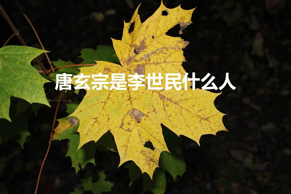 唐玄宗是李世民什么人（李隆基是李世民的什么人）