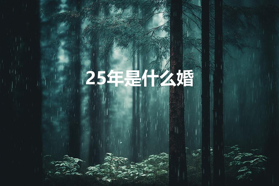 25年是什么婚（二十五年是什么婚）
