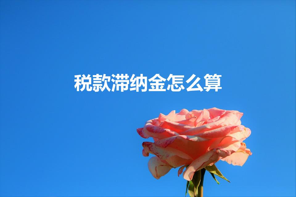 税款滞纳金怎么算（税收滞纳金怎么计算）