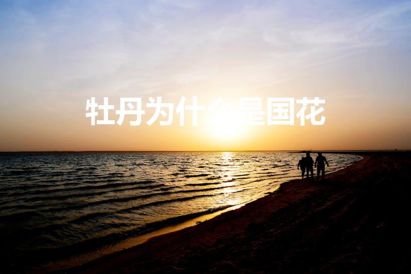 牡丹为什么是国花（中国国花为什么是牡丹）