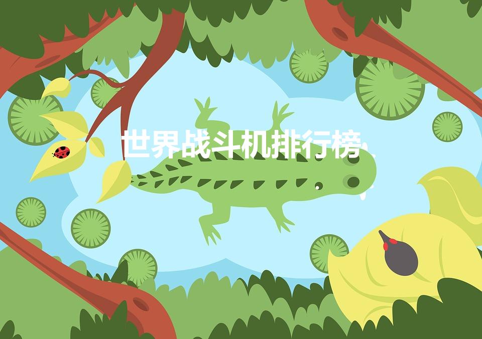 世界战斗机排行榜（全球战斗机排名）