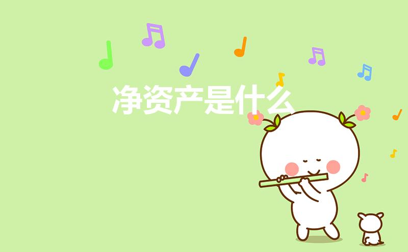 净资产是什么（净资产的意思是什么）