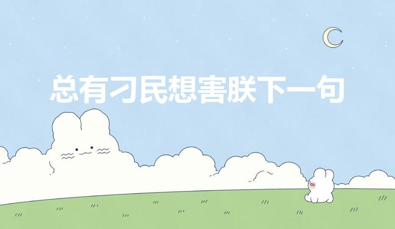 总有刁民想害朕下一句（总有刁民想害朕下一句是什么）