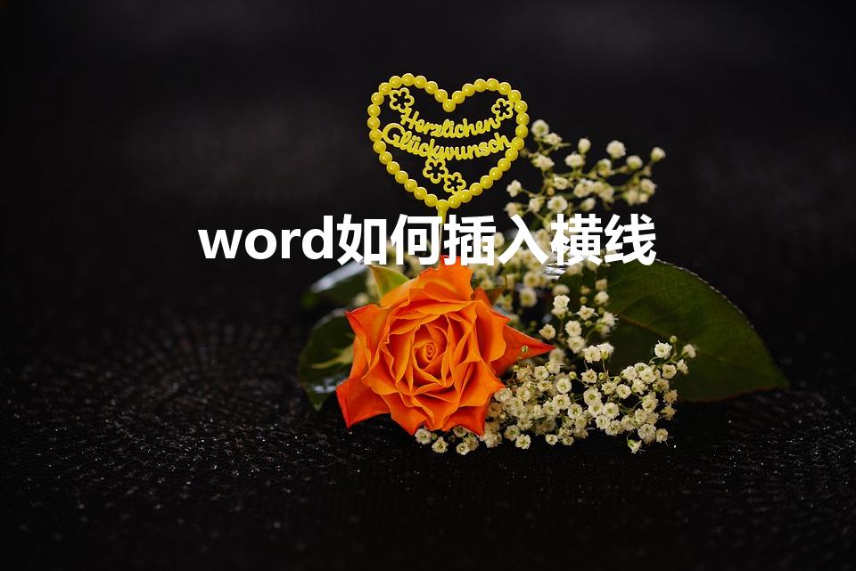 word如何插入横线（word文档中怎么插入一条横线）