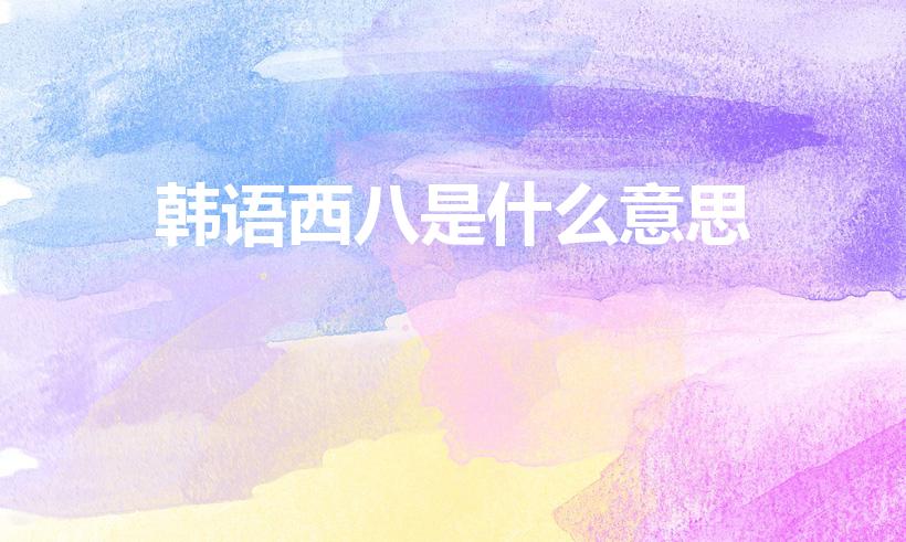 韩语西八是什么意思（西八韩语是什么意思）