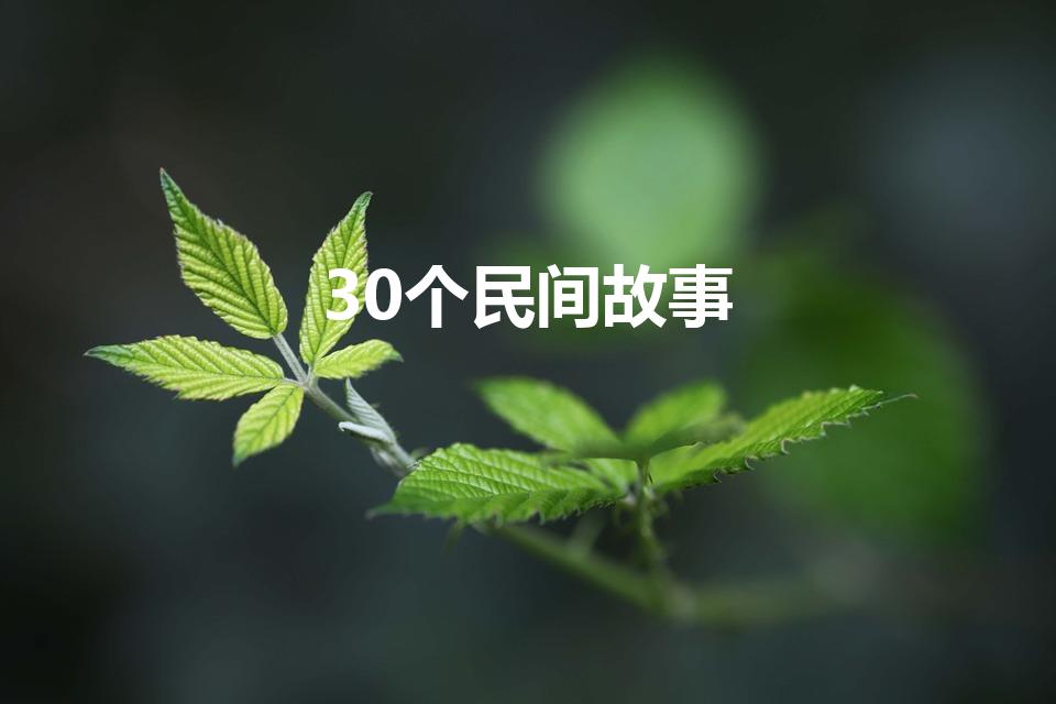 30个民间故事（民间故事30字）