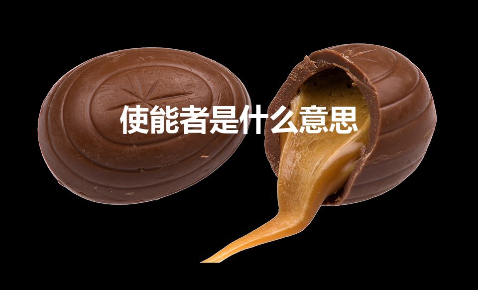 使能者是什么意思（使能是什么意思）