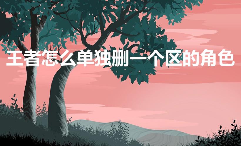 王者怎么单独删一个区的角色