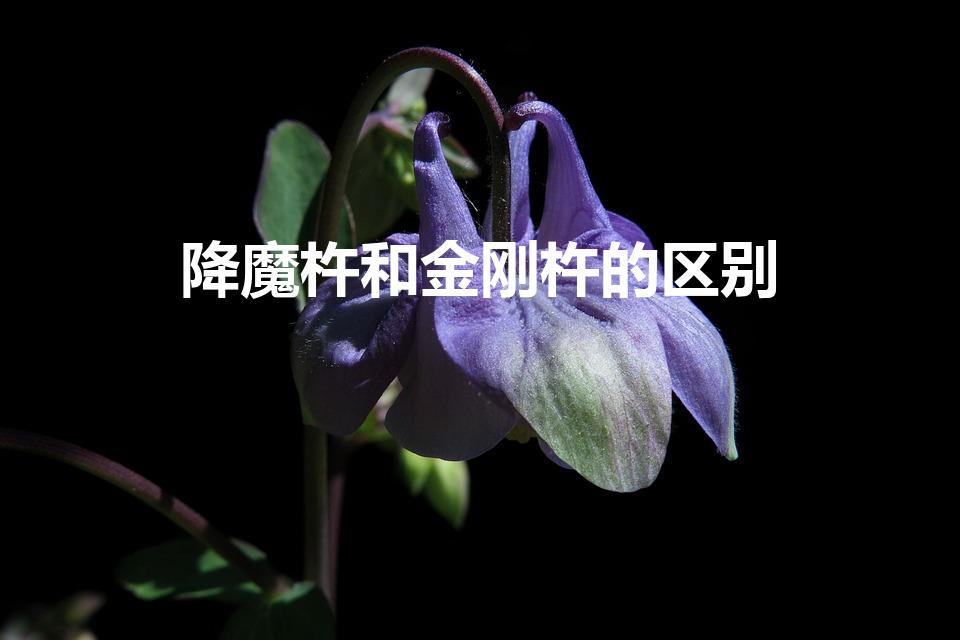 降魔杵和金刚杵的区别（降魔杵和金刚撅有什么区别）