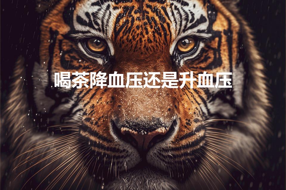 喝茶降血压还是升血压（喝茶能降血压吗）