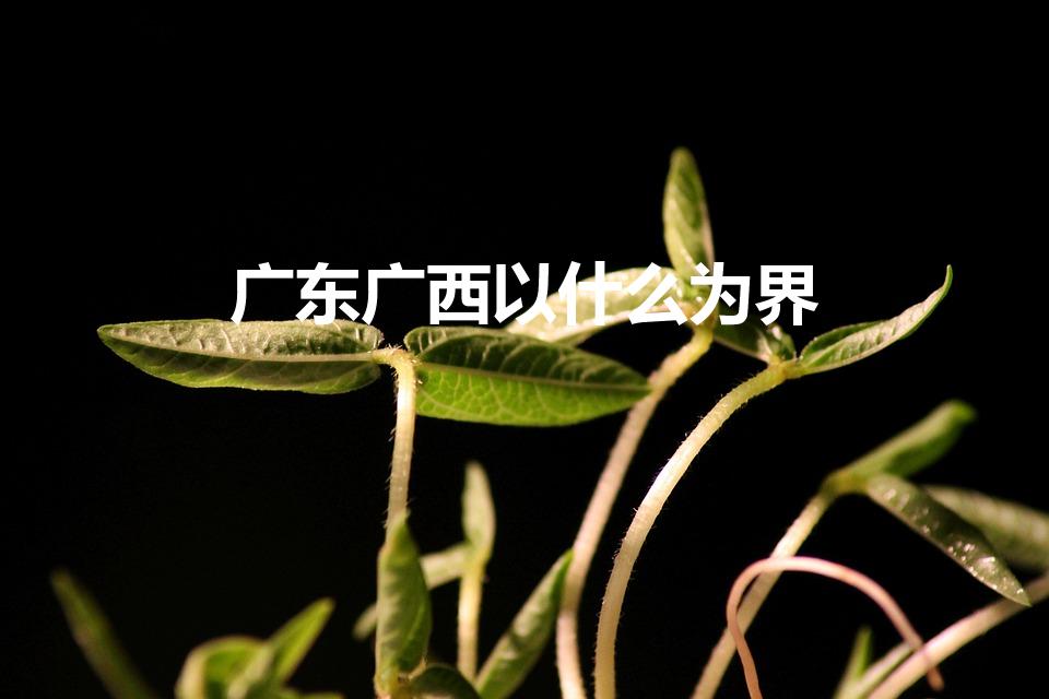 广东广西以什么为界（广东和广西以什么为分界线）