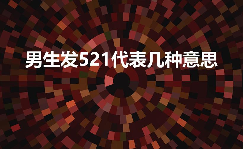 男生发521代表几种意思（521可以代表几种意思）