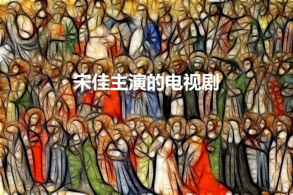 宋佳主演的电视剧
