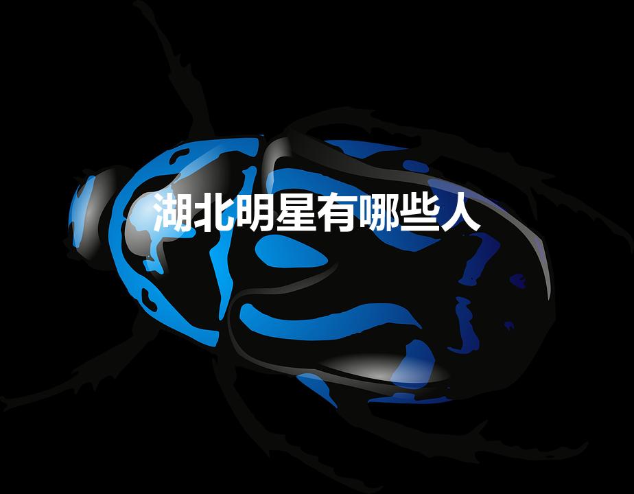 湖北明星有哪些人（武汉的明星有哪些）
