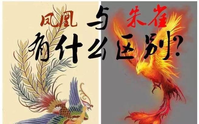 朱雀是不是凤凰（它们是否相同）