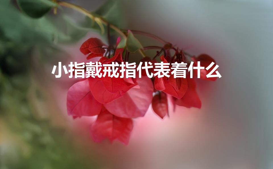 小指戴戒指代表着什么（戒指带在小拇指上代表什么）
