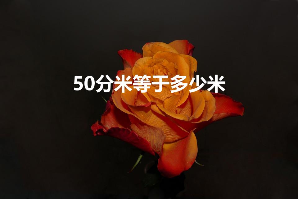 50分米等于多少米