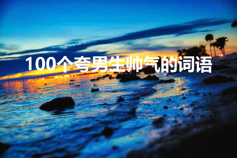 100个夸男生帅气的词语（形容男生帅气的词语有哪些）