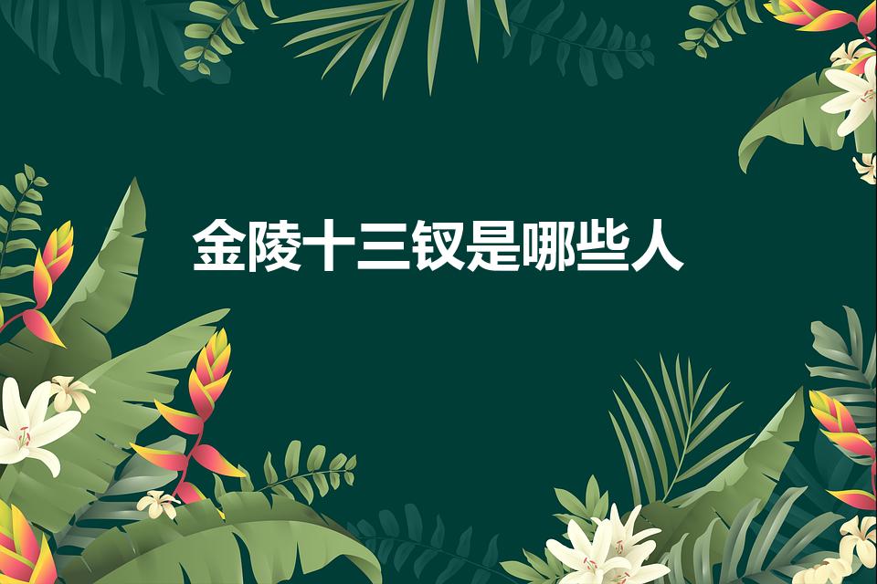 金陵十三钗是哪些人（金陵十三钗是哪十三位）