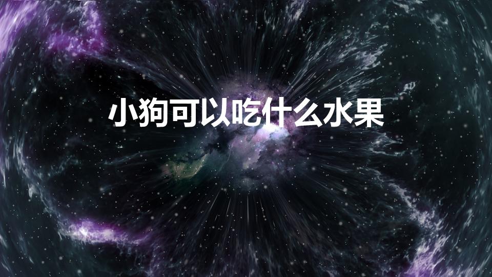 小狗可以吃什么水果（狗狗可以吃什么水果）