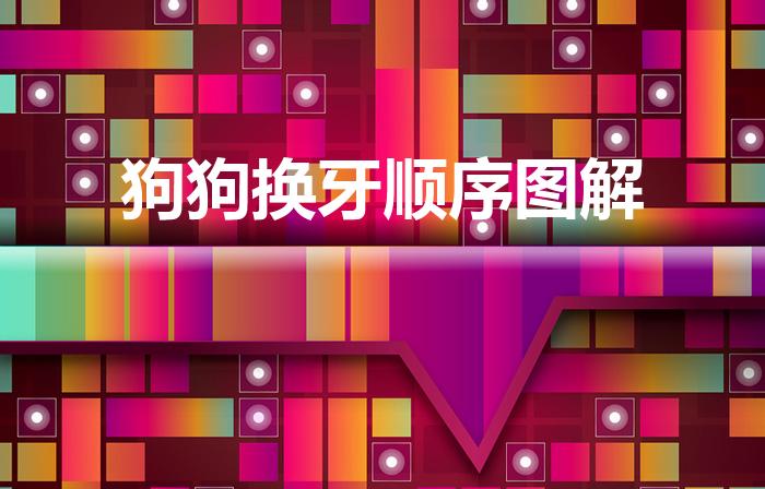 狗狗换牙顺序图解（狗狗换牙顺序是怎样的）