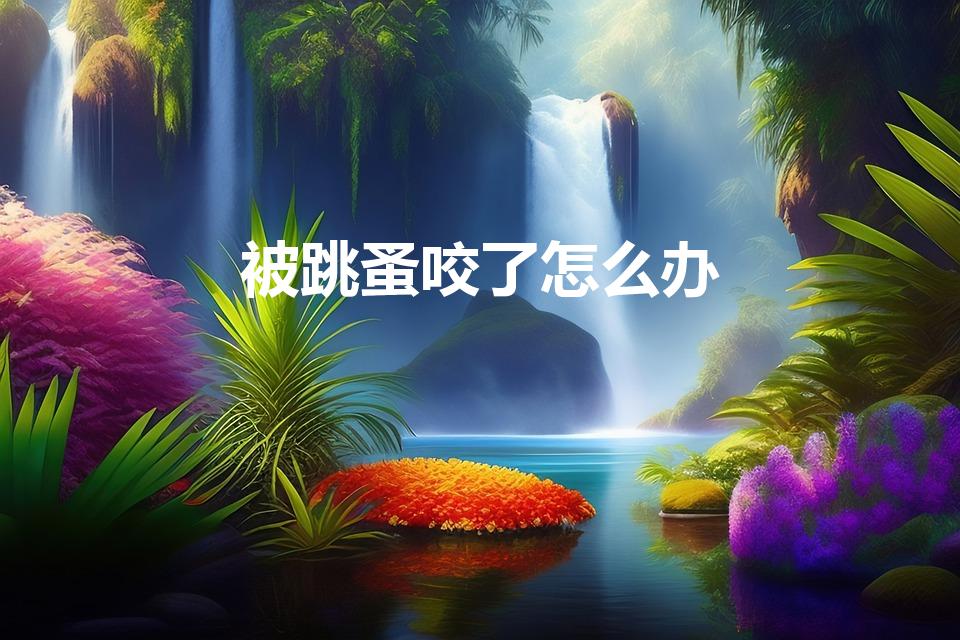 被跳蚤咬了怎么办（被跳蚤咬了怎么处理）