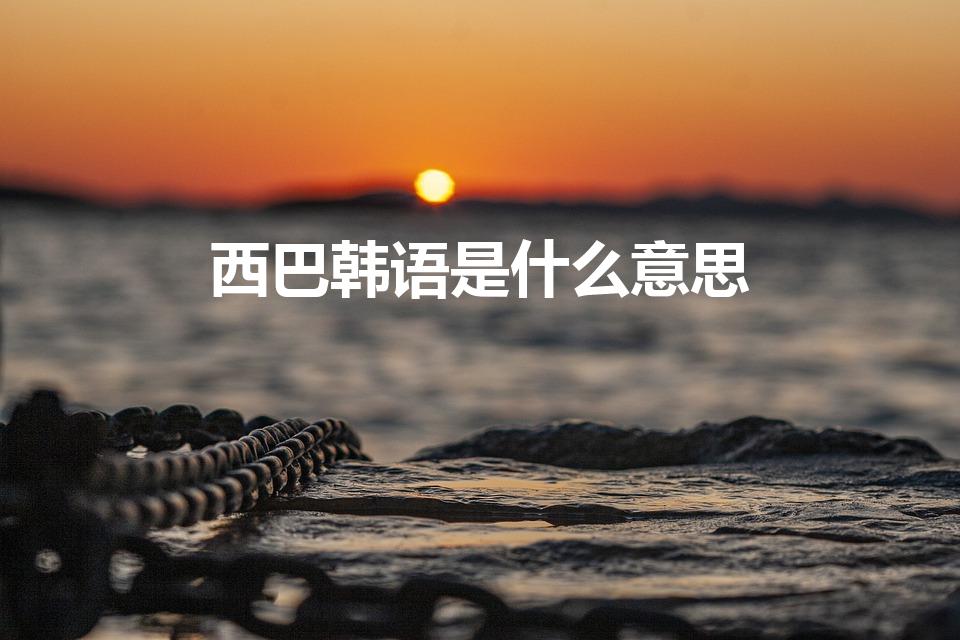 西巴韩语是什么意思（韩语西巴什么意思）