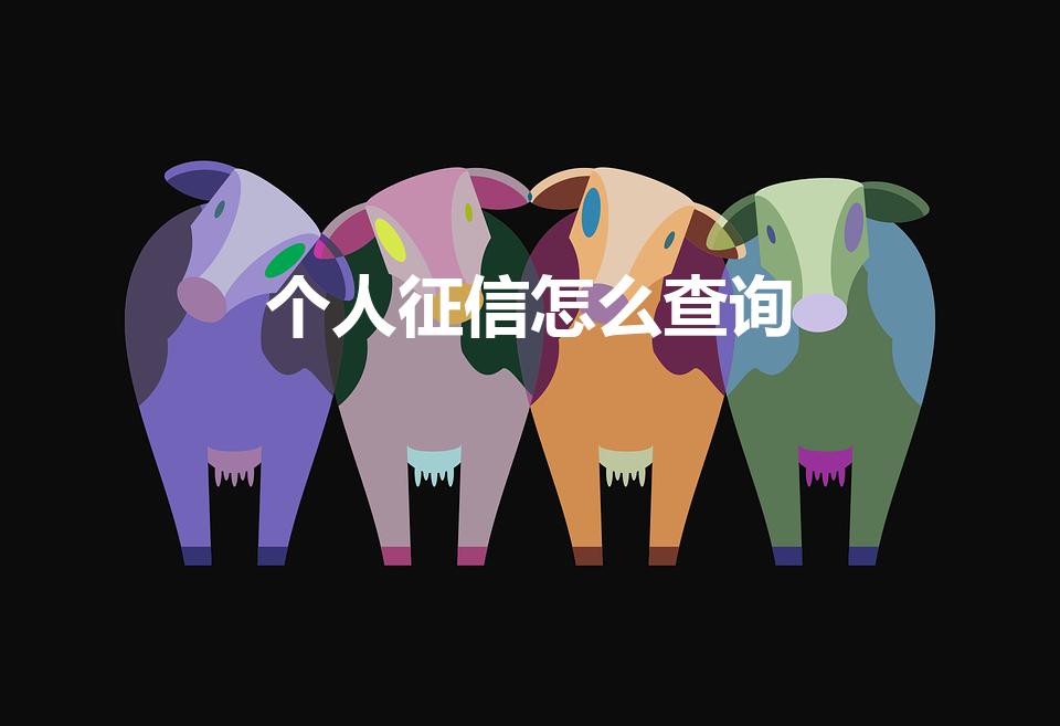 个人征信怎么查询（怎么查询个人征信）