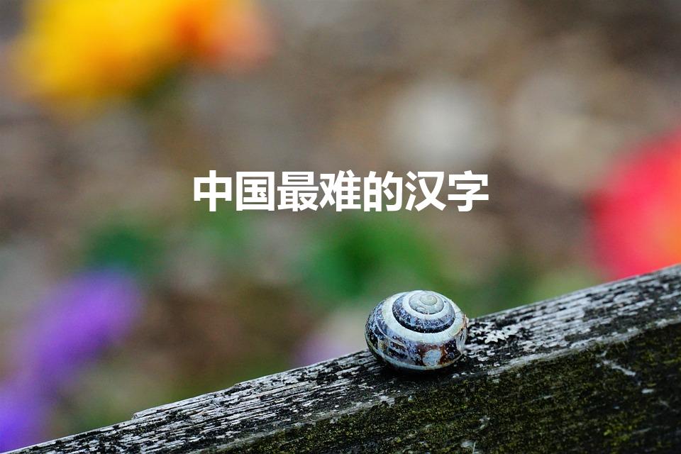 中国最难的汉字（中国最难写的几个字是什么）