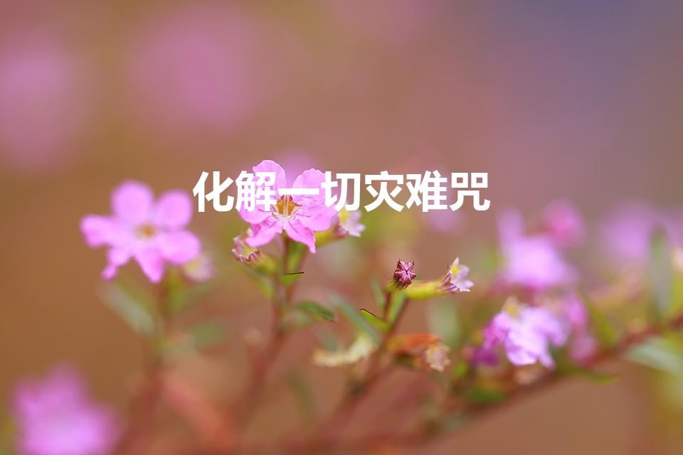 化解一切灾难咒（念什么咒可以消灾）