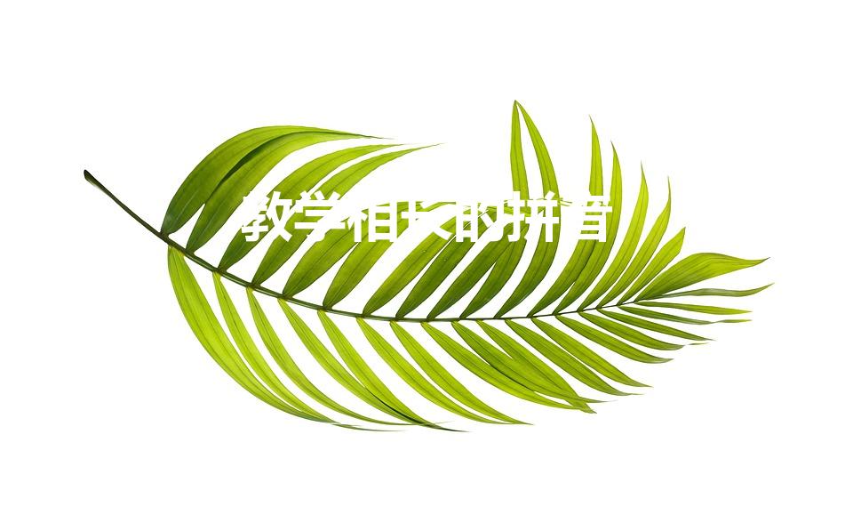教学相长的拼音（教学相长的读音）