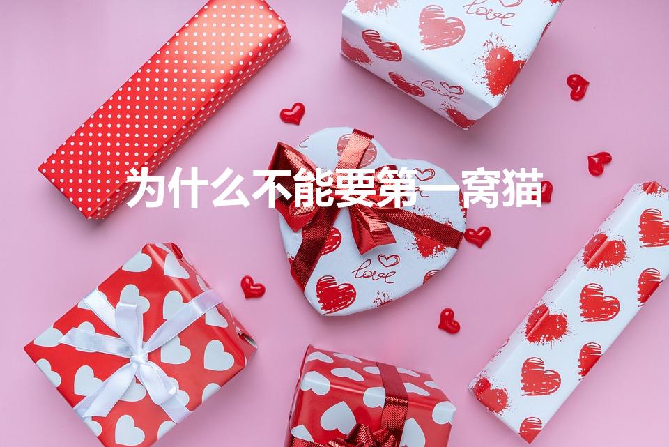 为什么不能要第一窝猫（为什么老人说不能要第一窝猫）
